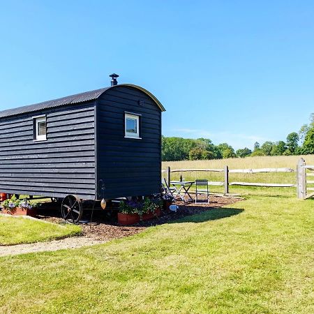 Crabden Shepherd Hut - Blendworth Villa Waterlooville Exterior foto
