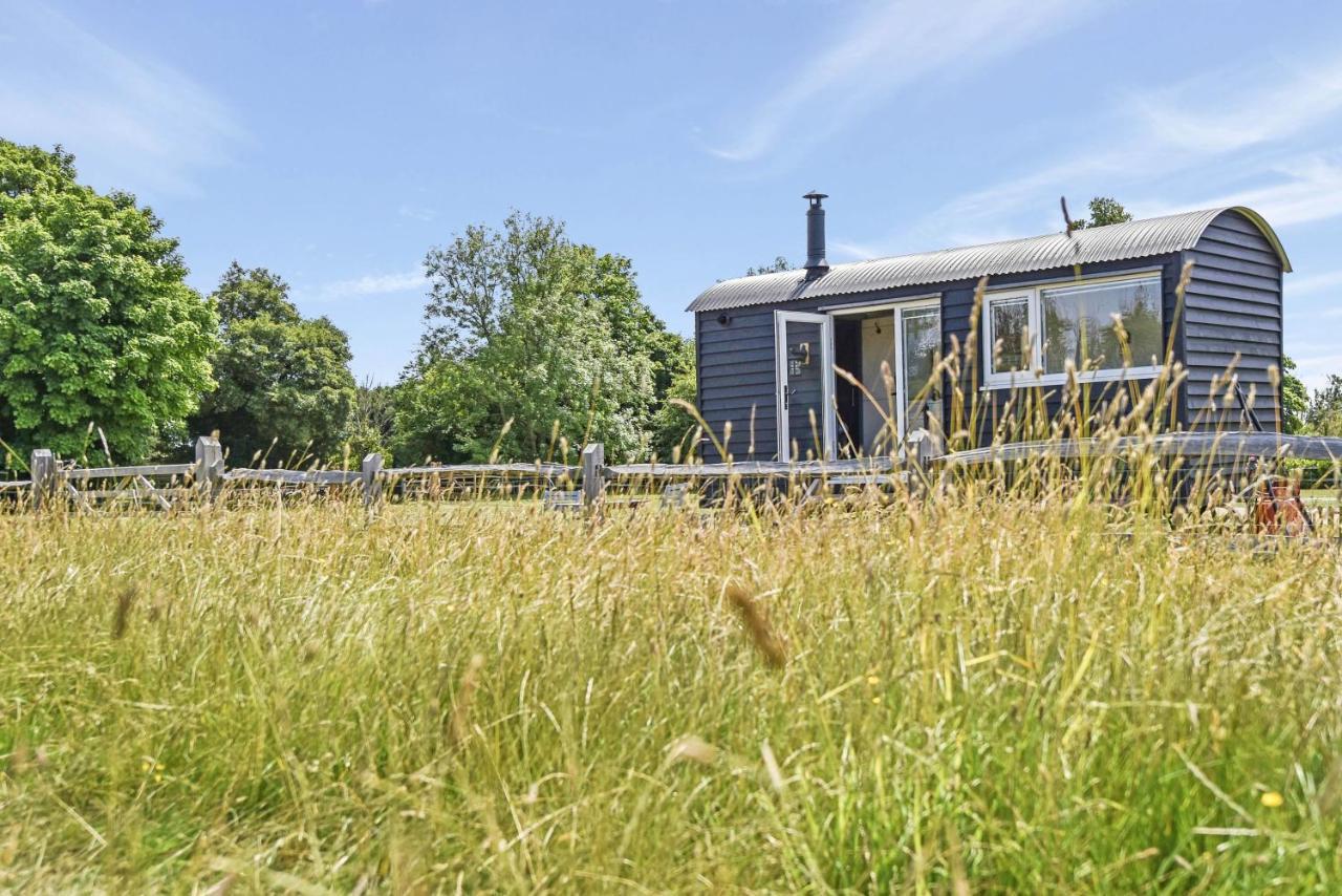 Crabden Shepherd Hut - Blendworth Villa Waterlooville Exterior foto