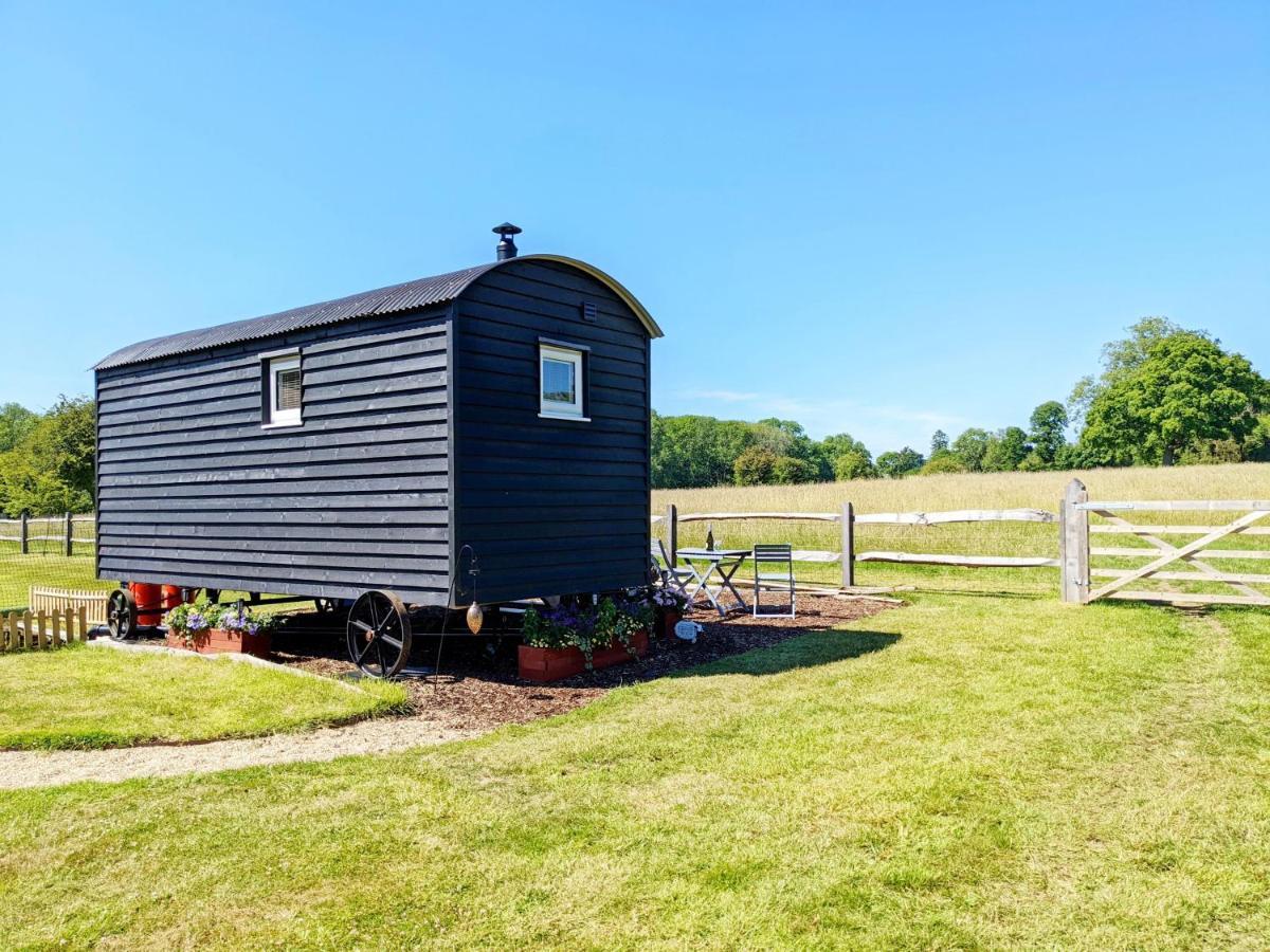 Crabden Shepherd Hut - Blendworth Villa Waterlooville Exterior foto