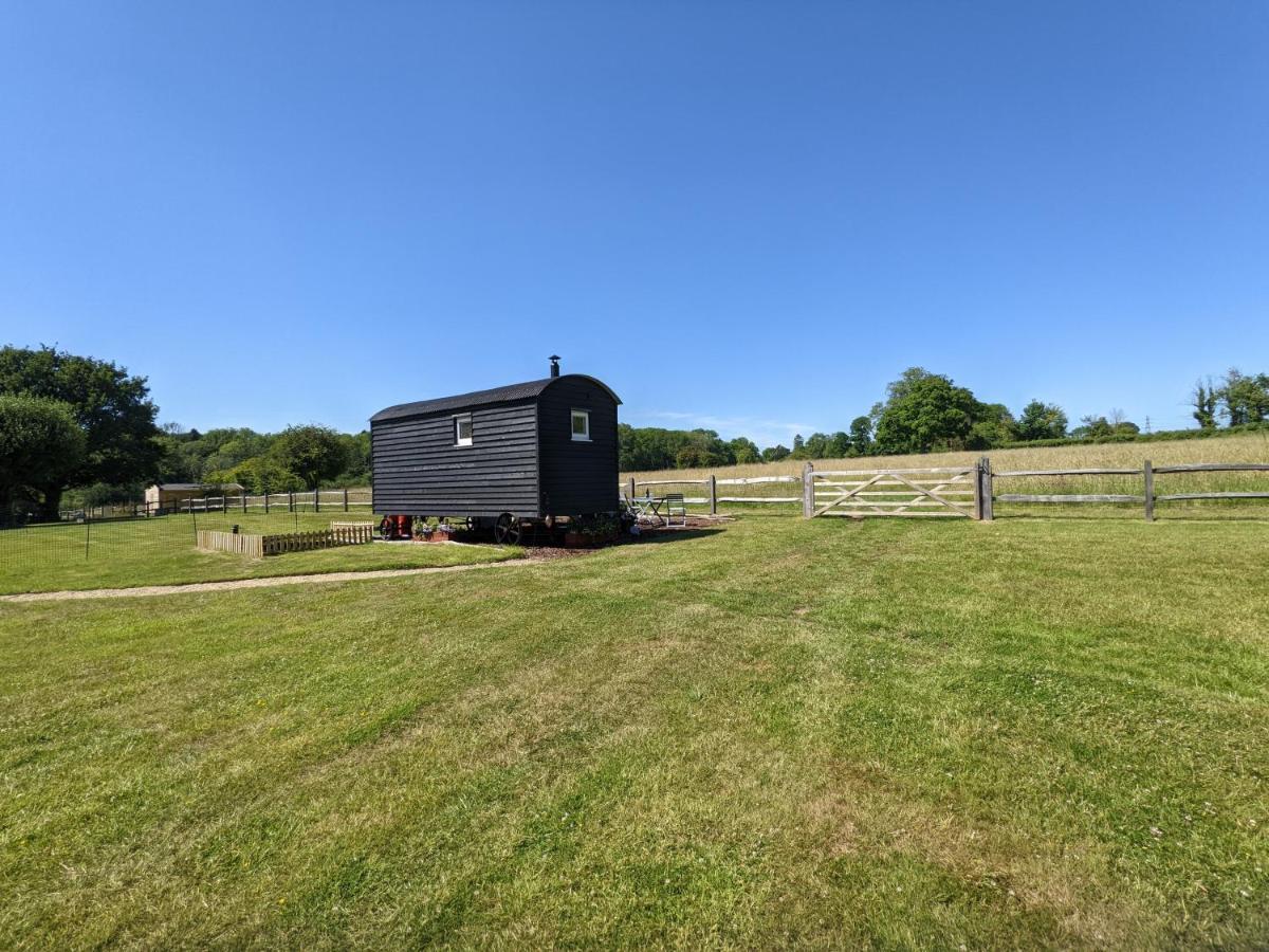 Crabden Shepherd Hut - Blendworth Villa Waterlooville Exterior foto